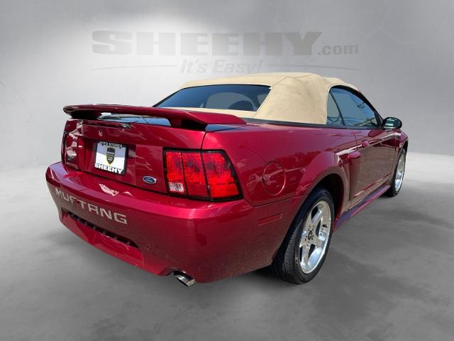 Used 2003 Redfire Clearcoat Metallic Ford  image 12