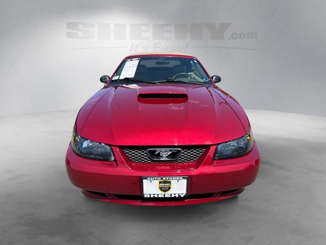 Used 2003 Redfire Clearcoat Metallic Ford  image 14