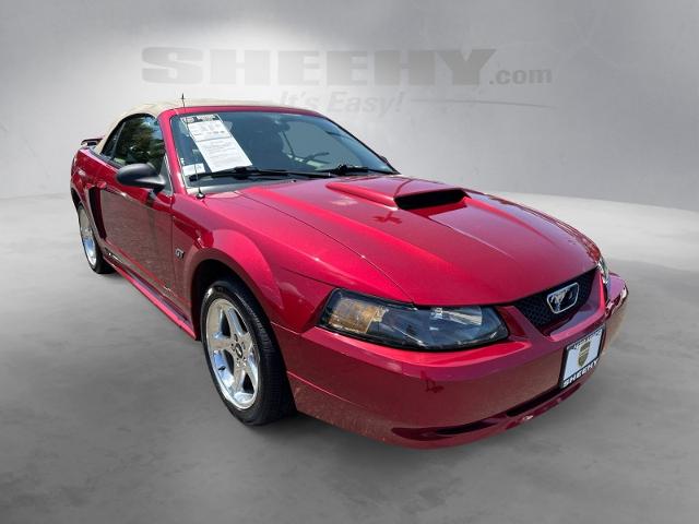 Used 2003 Redfire Clearcoat Metallic Ford  image 2