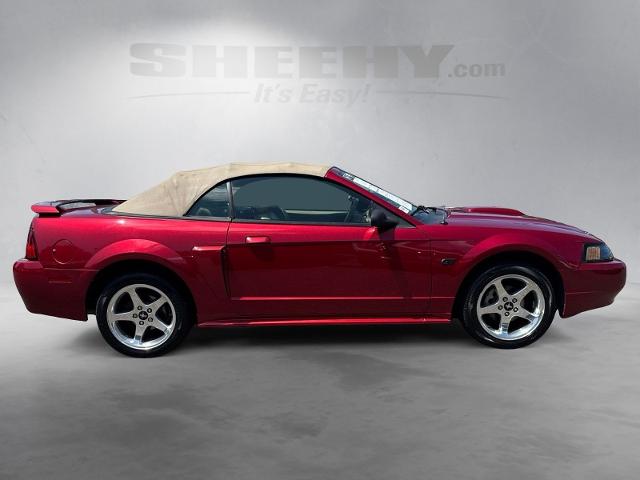 Used 2003 Redfire Clearcoat Metallic Ford  image 9