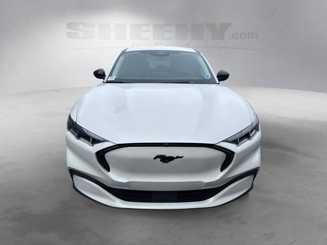 Certified Used 2025 Star White Ford  image 16