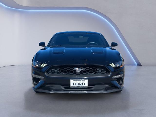 Used 2018 Shadow Black Ford  image 10