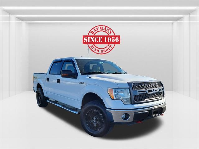 2010 Ford F-150