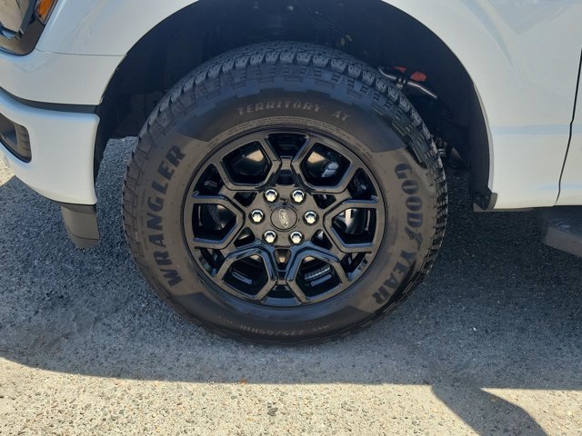 Used 2024 Ford F-150 XLT Used 2024 Ford F-150 XLT
