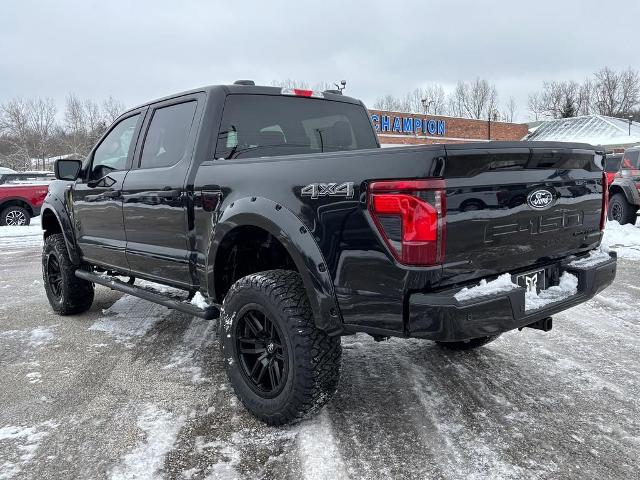 2025 Ford F-150 STX - Photo 25