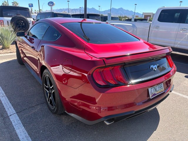 Used 2019 Ruby Red Metallic Ford EcoBoost image 14