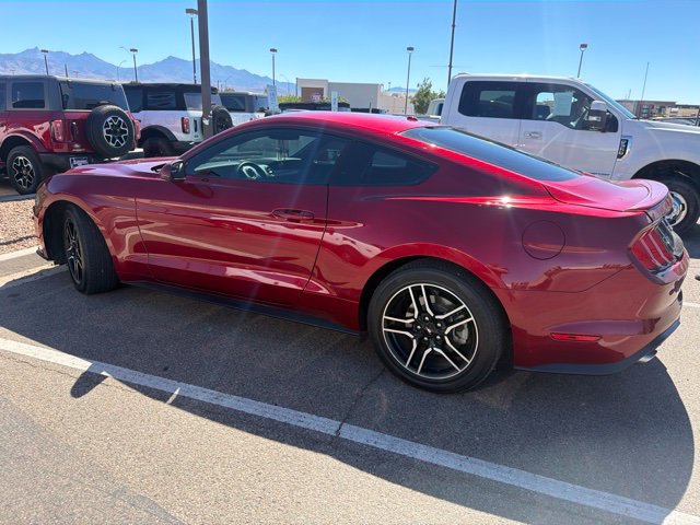 Used 2019 Ruby Red Metallic Ford EcoBoost image 15