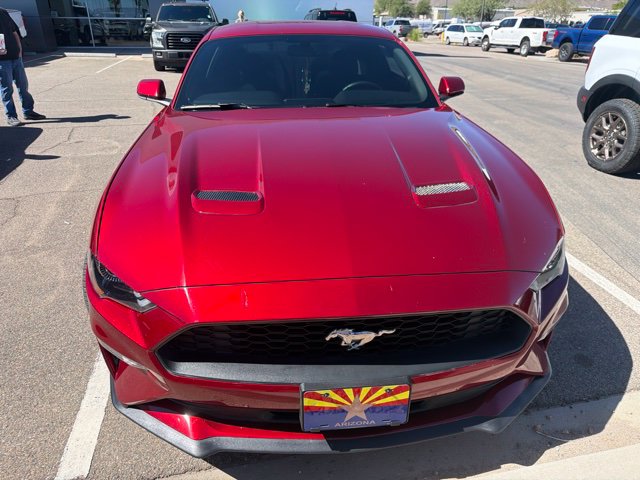 Used 2019 Ruby Red Metallic Ford EcoBoost image 16