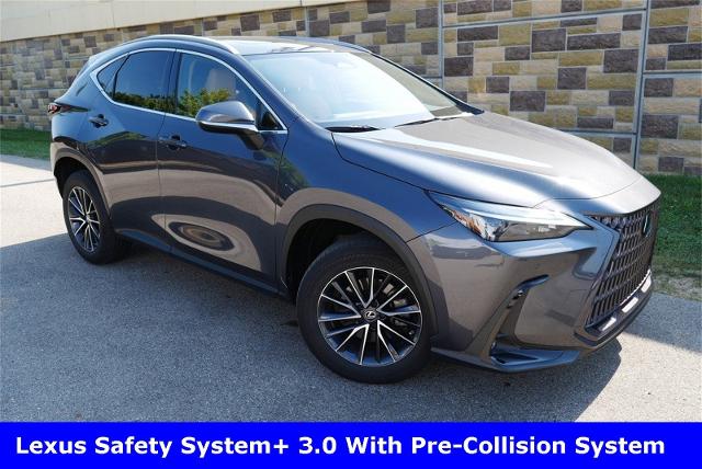 2022 Lexus NX