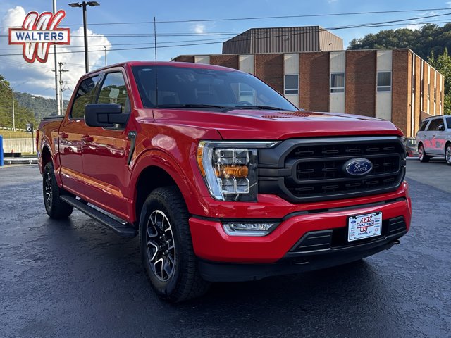 2023 Ford F-150 XLT's photo