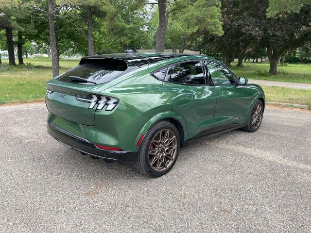 2025 Ford Mustang Mach-E GT AWD - Photo 11