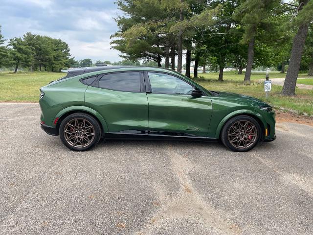 2025 Ford Mustang Mach-E GT AWD - Photo 12