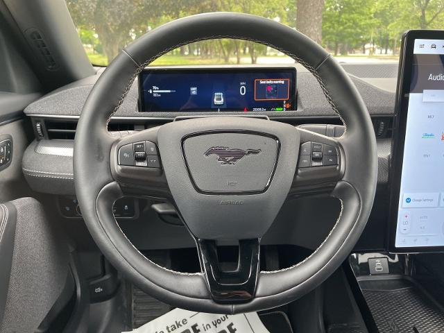 2025 Ford Mustang Mach-E GT AWD - Photo 14