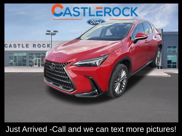 2025 Lexus NX