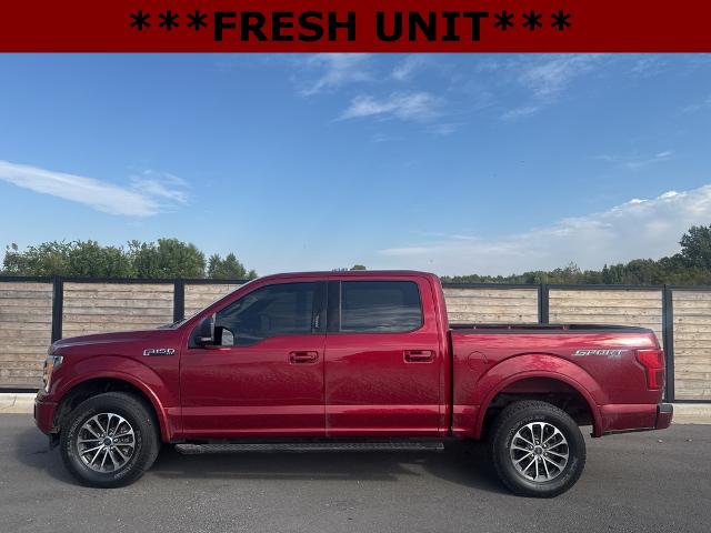 2019 Ford F-150