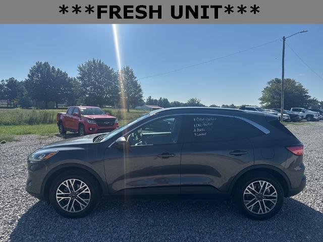 2020 Ford Escape