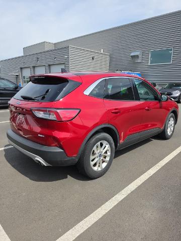 Used 2020 Rapid Red Metallic Tinted Clearcoat Ford SE image 39