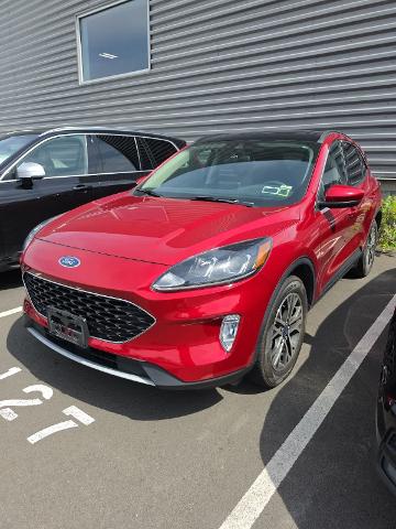 Used 2020 Rapid Red Metallic Tinted Clearcoat Ford SEL image 4