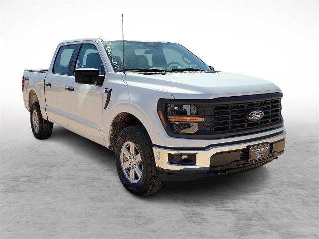 2025 Ford F-150 XL's photo
