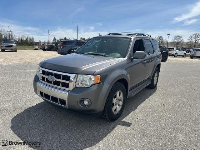 2010 Ford Escape Limited