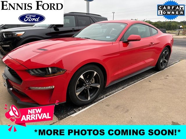 2019 Ford Mustang