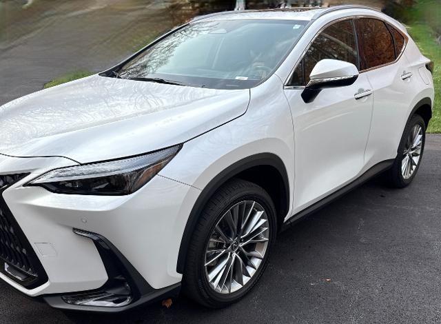 2022 Lexus NX