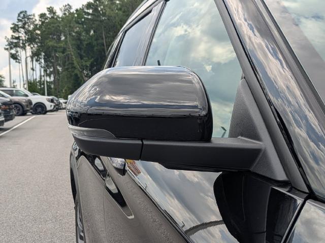 New 2026 Agate Black Metallic Ford Platinum image 49