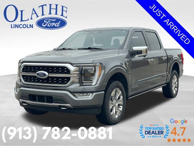 2023 Ford F-150 Platinum's photo