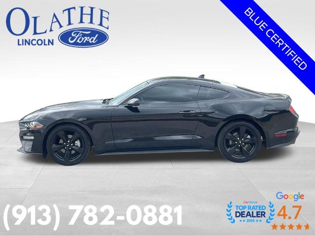 Used 2022 Ford Mustang EcoBoost Premium with VIN 1FA6P8TH5N5131060 for sale in Kansas City
