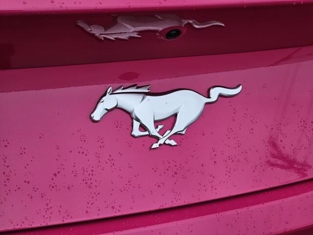 New 2025 Ford Mustang EcoBoost