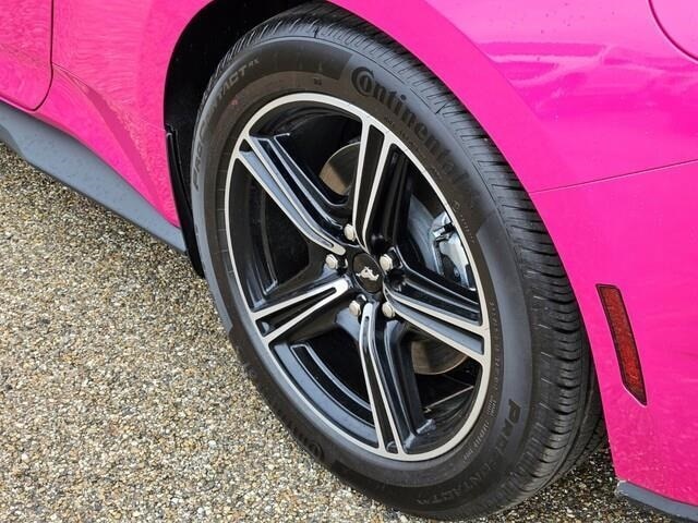 New 2025 Ford Mustang EcoBoost