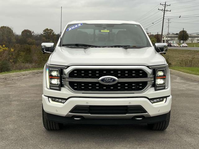 Used 2022 Ford F-150 Platinum with VIN 1FTFW1E52NFA93319 for sale in Gallatin, TN