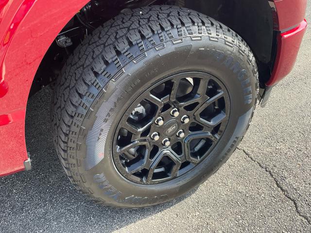 New 2026 Ruby Red Metallic Tinted Clearcoat Ford XLT image 31