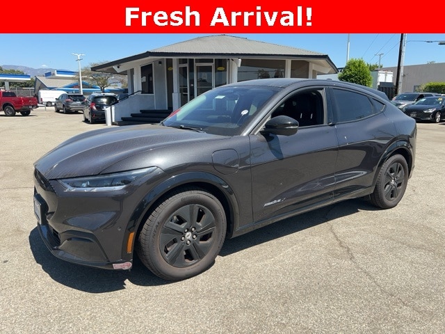 2021 Ford Mustang Mach-e