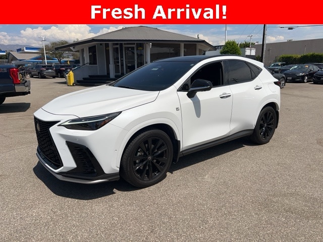 2025 Lexus NX