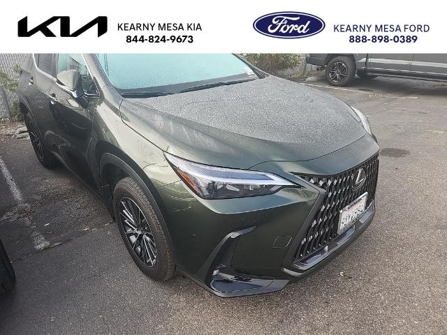 2025 Lexus NX