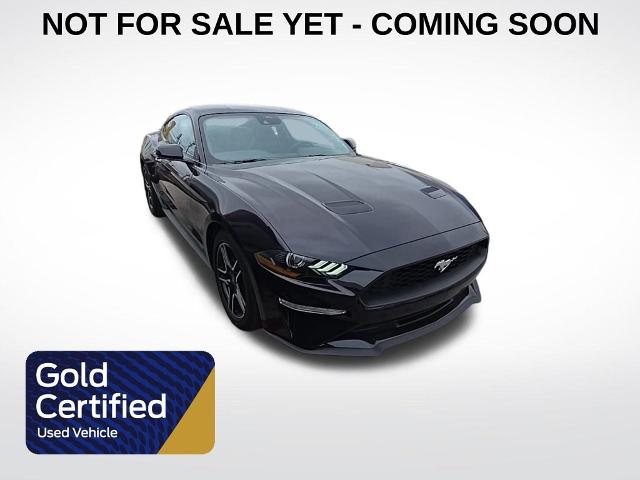 2022 Ford Mustang