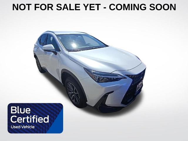 2023 Lexus NX