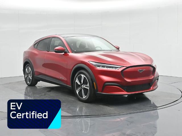 2021 Ford Mustang Mach-e