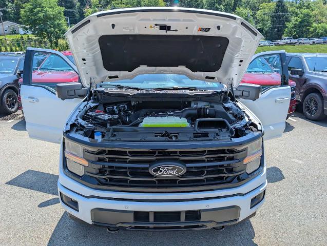 New 2026 Oxford White Ford XLT image 43