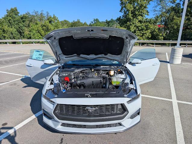 New 2026 Avalanche Gray Ford EcoBoost® Premium Fastback image 41