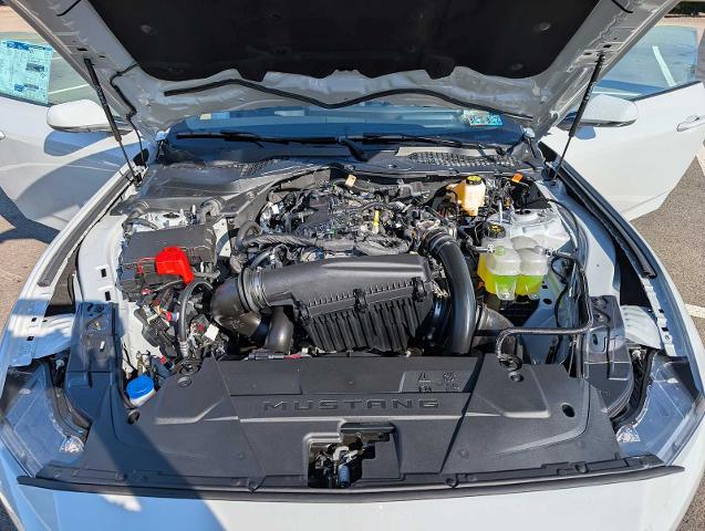 New 2026 Avalanche Gray Ford EcoBoost® Premium Fastback image 42