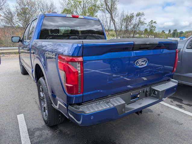 New 2026 Argon Blue Metallic Ford STX® image 39