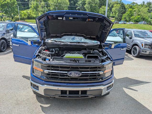 New 2026 Argon Blue Metallic Ford XLT image 41