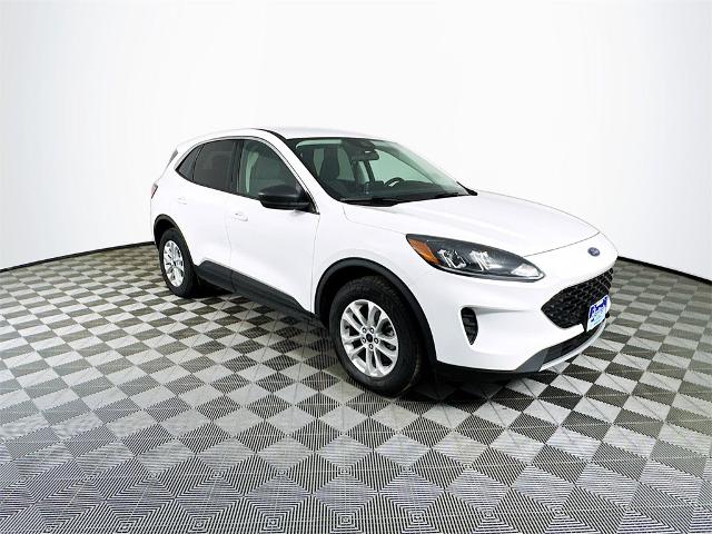 2022 Ford Escape Hybrid SE