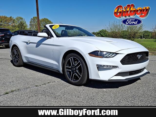 2023 Ford Mustang