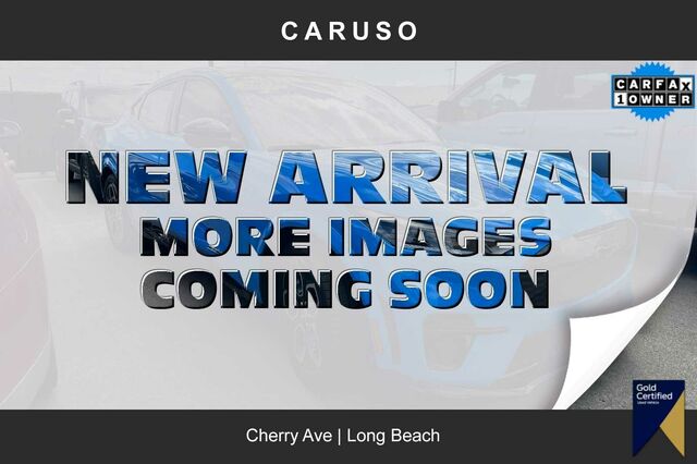 2021 Ford Mustang Mach-e