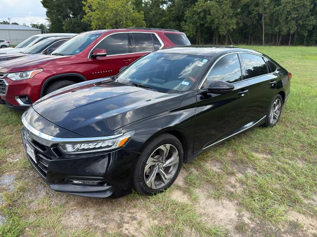 2019 Honda Accord Sedan