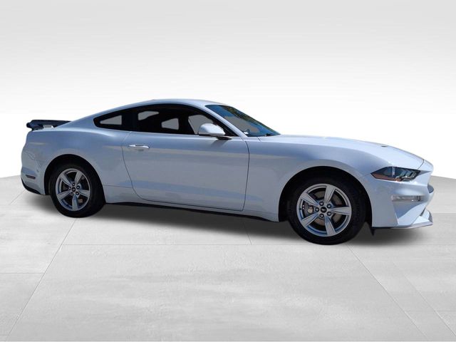 2023 Ford Mustang