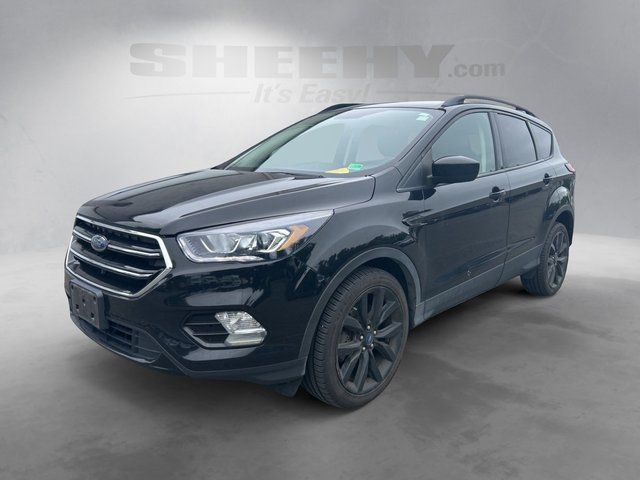 Used 2019 Black Metallic Ford  image 15